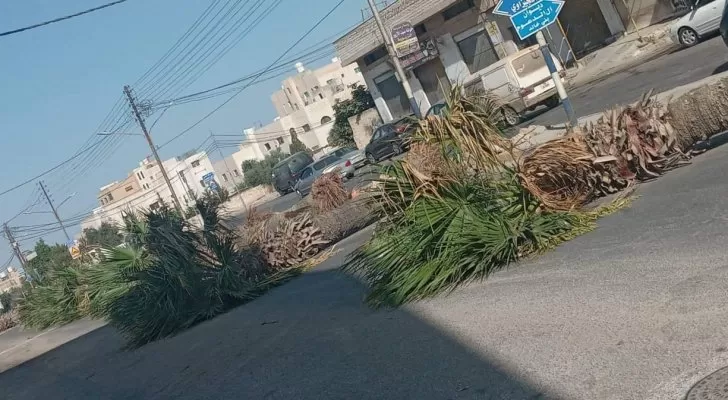 مدار الساعة,أخبار الأردن,اخبار الاردن,مستشفى الأميرة بسمة