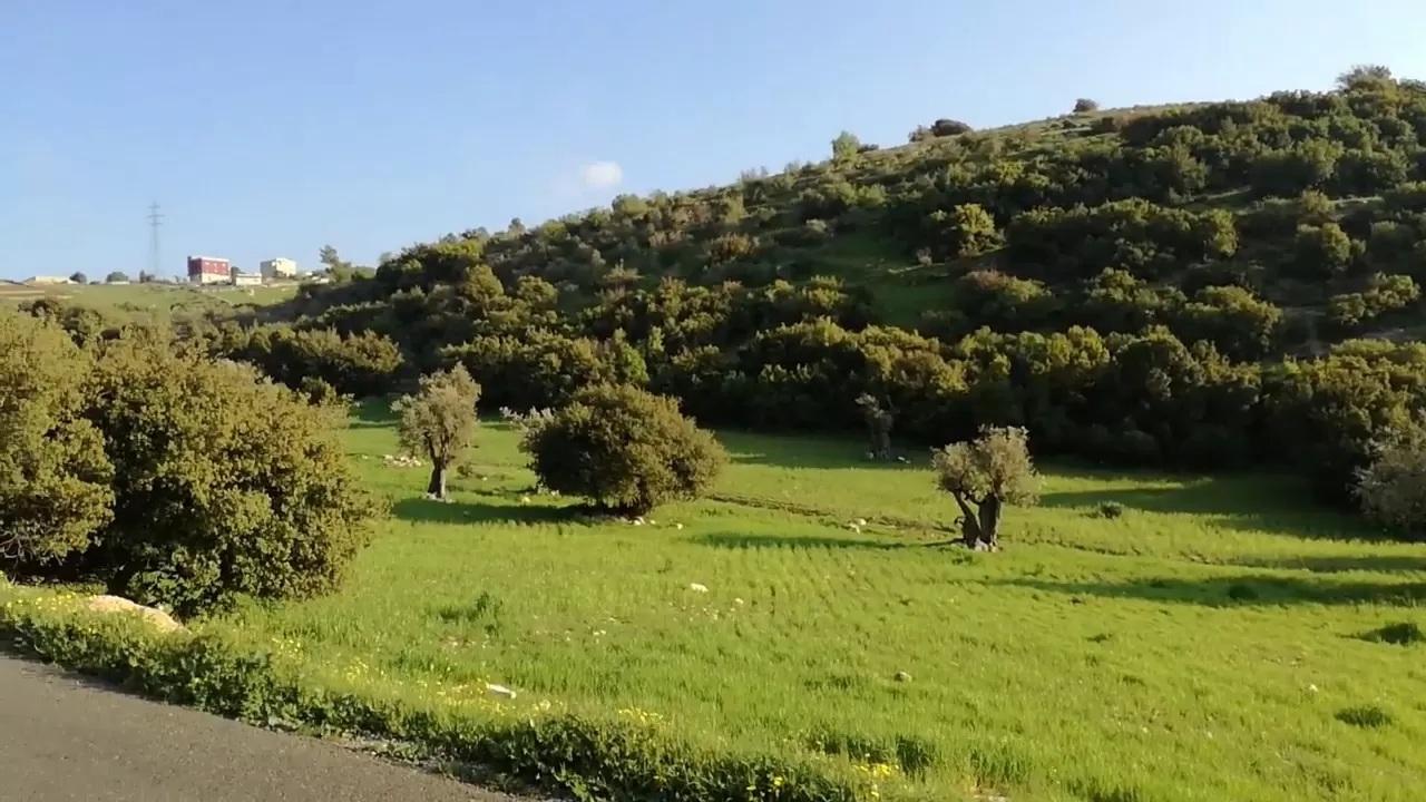 مدار الساعة,أخبار الأردن,اخبار الاردن,وكالة الأنباء الأردنية,الإدارة الملكية لحماية البيئة