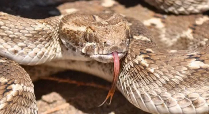 مدار الساعة,أخبار الأردن,اخبار الاردن,وزارة التربية والتعليم,أمانة عمان الكبرى,الدفاع المدني