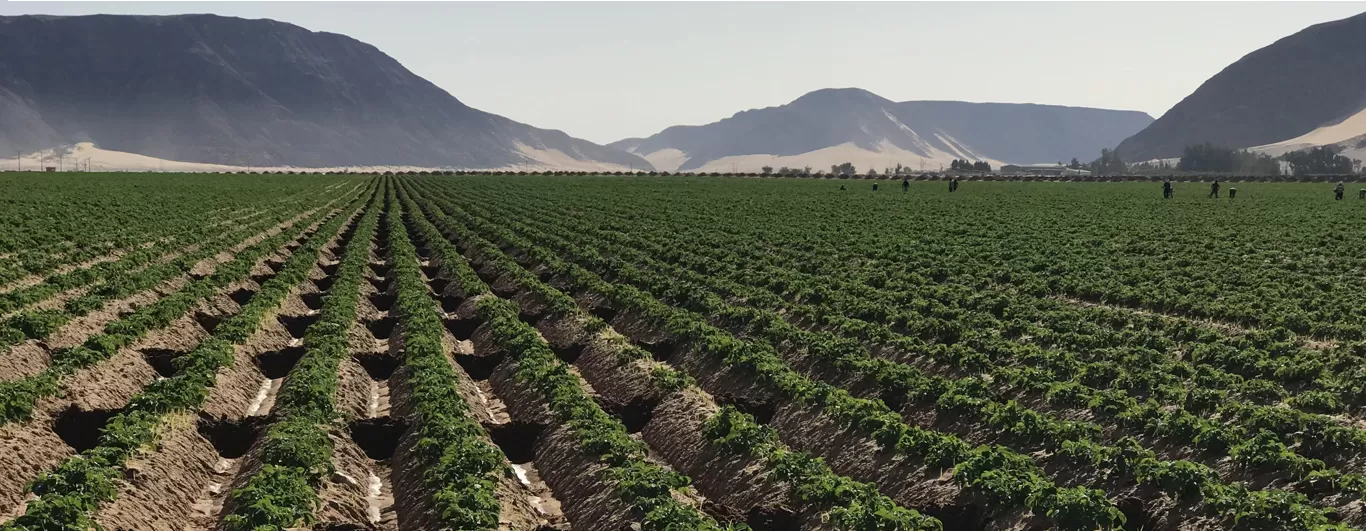 مدار الساعة,أخبار الأردن,اخبار الاردن,وادي الأردن,درجات الحرارة