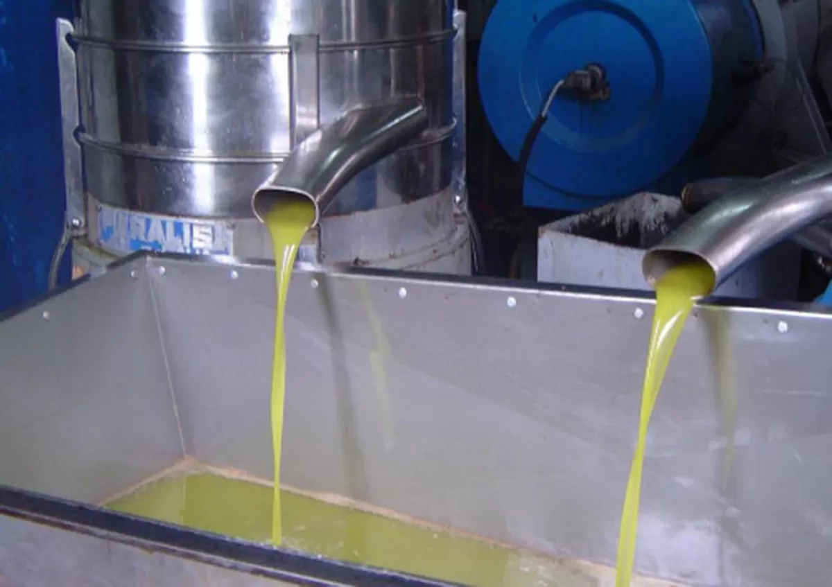 مدار الساعة,أخبار الأردن,اخبار الاردن,وزارة الزراعة