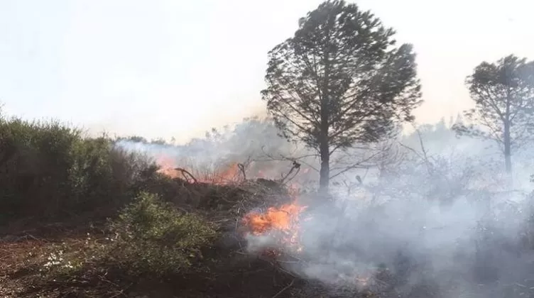 مدار الساعة,أخبار الأردن,اخبار الاردن,الدفاع المدني
