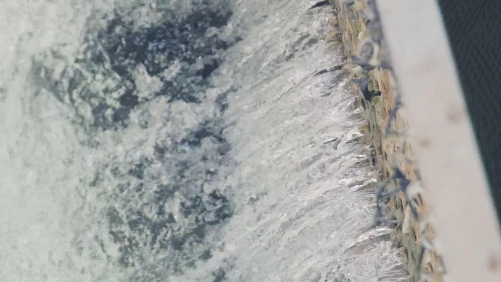 مدار الساعة,أخبار الأردن,اخبار الاردن,وزير التخطيط والتعاون الدولي,كورونا,رئيس الوزراء