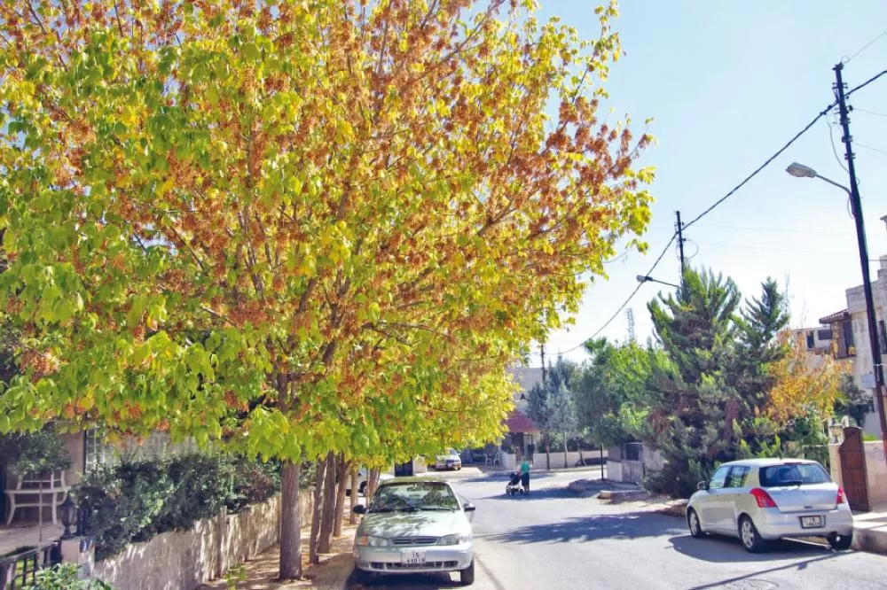 مدار الساعة,أخبار الأردن,اخبار الاردن,درجات الحرارة العظمى والصغرى,درجات الحرارة,الأرصاد الجوية,البحر الميت