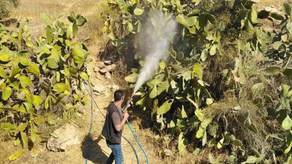 مدار الساعة,أخبار الأردن,اخبار الاردن