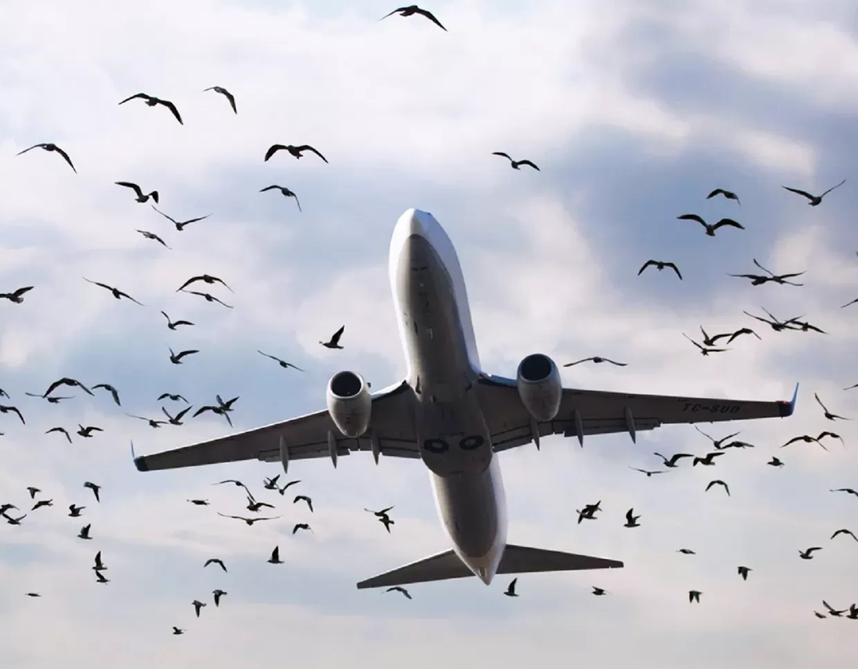 مدار الساعة,أخبار عربية ودولية