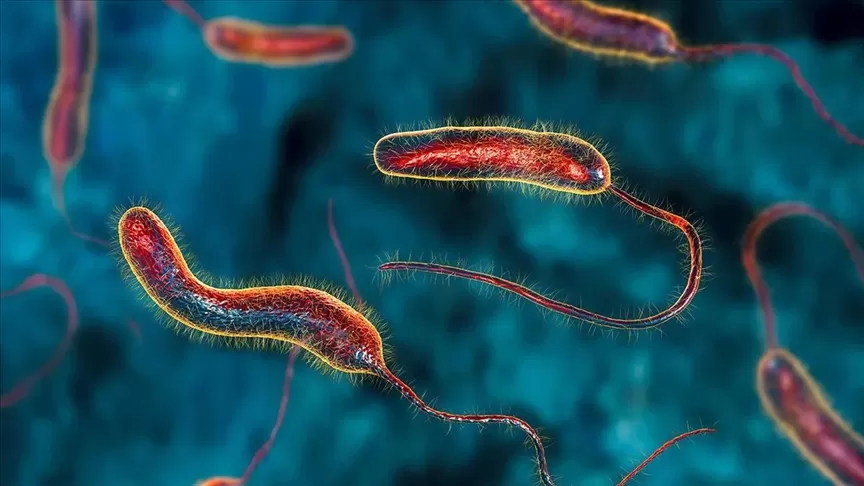 مدار الساعة,أخبار الأردن,اخبار الاردن,كورونا,رئاسة الوزراء,وزارة الصحة