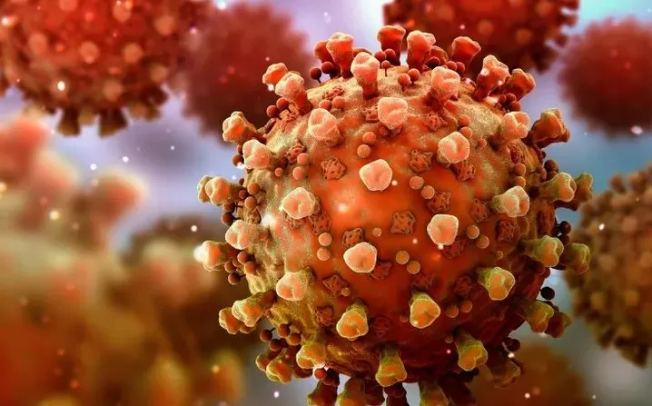 مدار الساعة,أخبار عربية ودولية,كورونا,منظمة الصحة العالمية