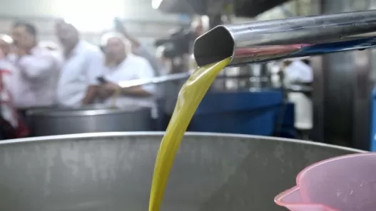 مدار الساعة,أخبار الأردن,اخبار الاردن