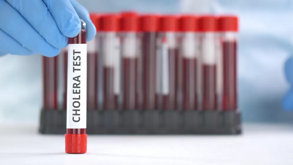 مدار الساعة,أخبار الأردن,اخبار الاردن,كورونا,رئاسة الوزراء