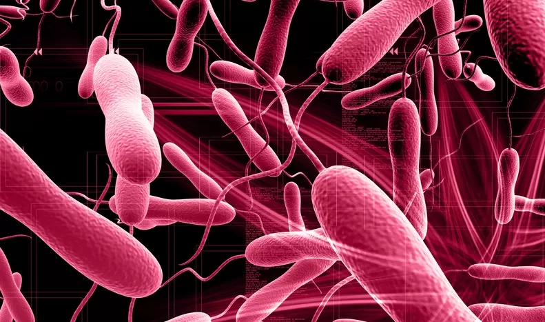 مدار الساعة,أخبار الأردن,اخبار الاردن,وزارة الصحة