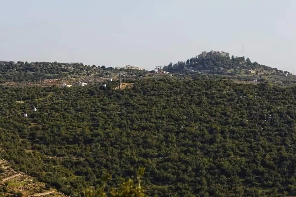 مدار الساعة,أخبار الأردن,اخبار الاردن,وزير الزراعة,وزير الداخلية,مازن الفراية,وزارة الزراعة,مديرية الأمن العام,الأمن العام