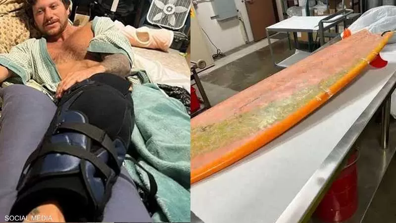 مدار الساعة,أخبار خفيفة ومنوعة