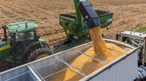 مدار الساعة,أخبار اقتصادية,سعر الدولار