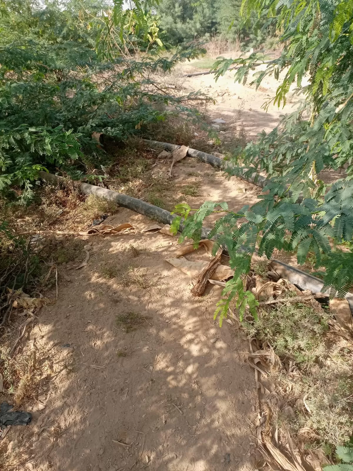 مدار الساعة,أخبار الأردن,اخبار الاردن,وزارة المياه والري,سلطة المياه,وزارة المياه