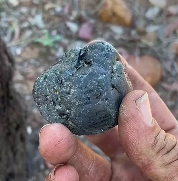 مدار الساعة,أخبار خفيفة ومنوعة