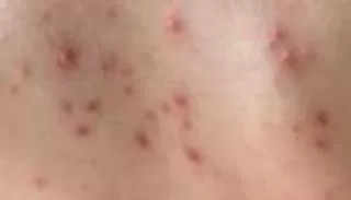مدار الساعة,أخبار الأسرة