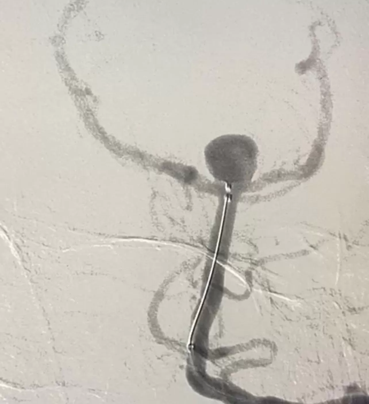 مدار الساعة,مناسبات أردنية,الخدمات الطبية الملكية,مدينة الحسين الطبية