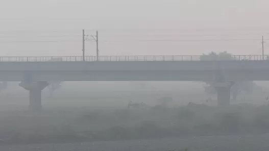 مدار الساعة,أخبار عربية ودولية,وزير البيئة,وسائل التواصل الاجتماعي