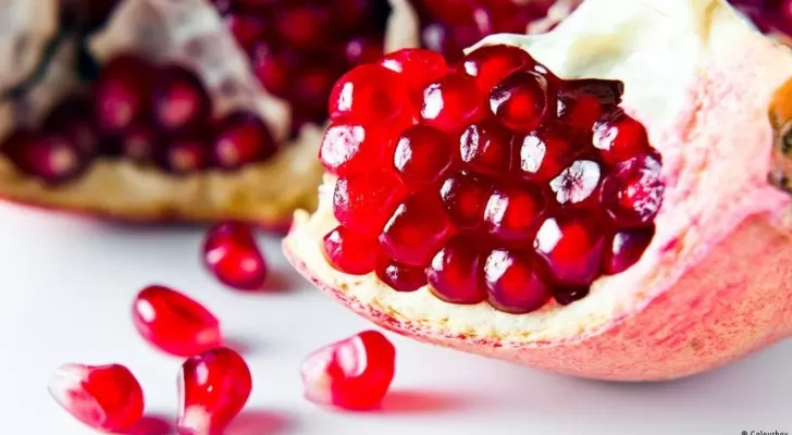 مدار الساعة,أخبار خفيفة ومنوعة