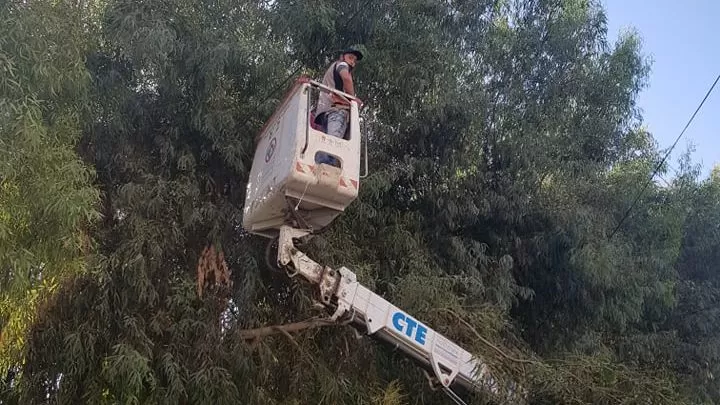 مدار الساعة,أخبار الأردن,اخبار الاردن,الحالة الجوية,وزارة الزراعة,وزارة الإدارة المحلية,أمانة عمان,أمانة عمان الكبرى