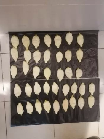 مدار الساعة,أخبار الأردن,اخبار الاردن,مديرية الأمن العام,الأمن العام,مستشفى البشير