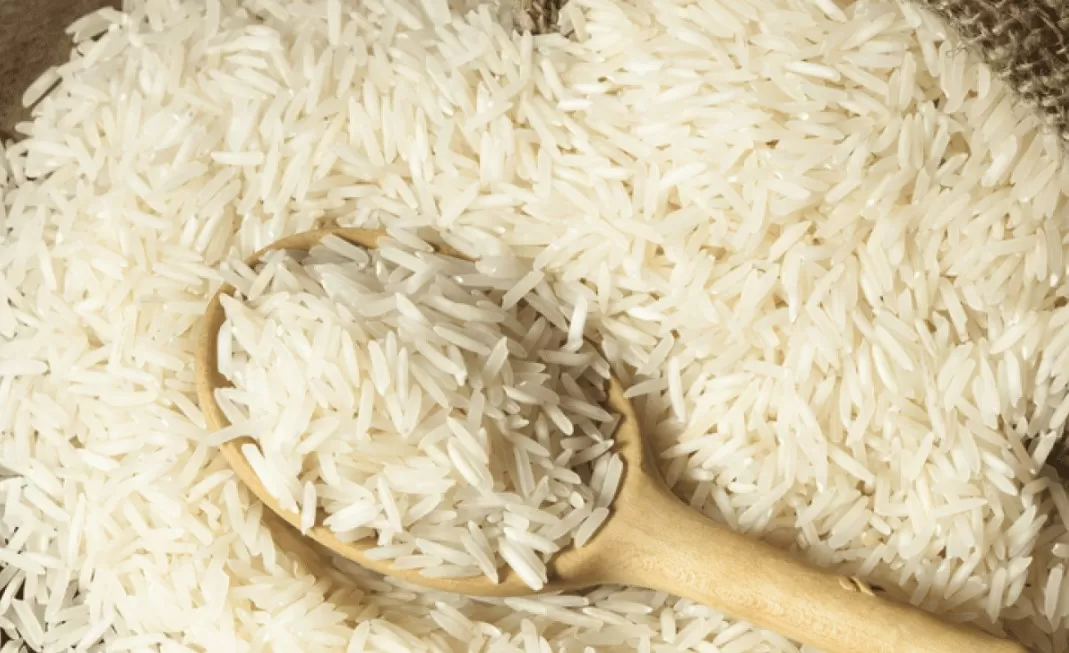 مدار الساعة,أخبار الأردن,اخبار الاردن,وزارة الزراعة,ديوان المحاسبة