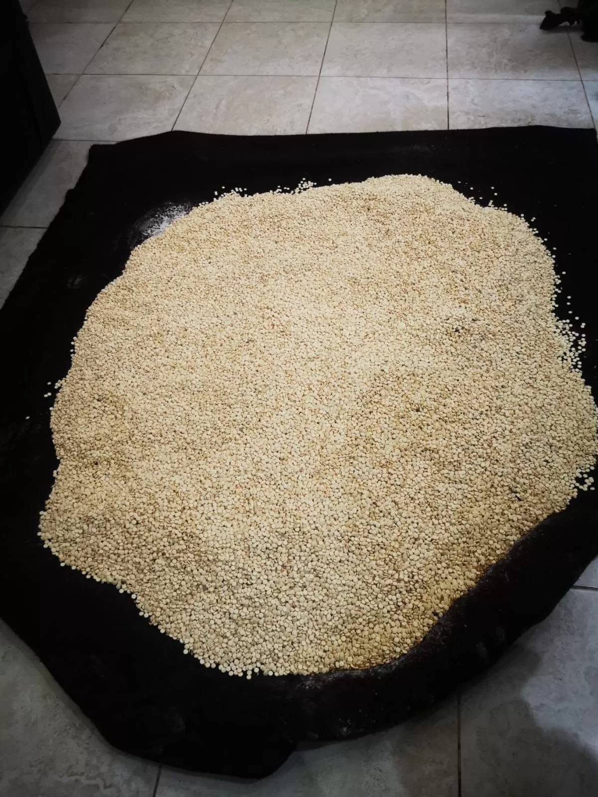 مدار الساعة,أخبار الأردن,اخبار الاردن,مديرية الأمن العام,الأمن العام,إدارة مكافحة المخدرات