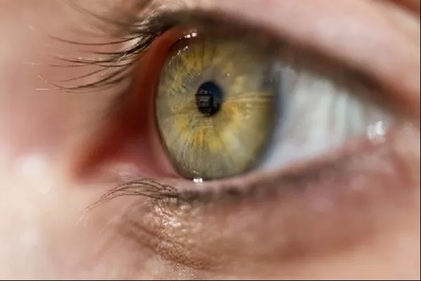 مدار الساعة,أخبار الأردن,اخبار الاردن,الملكة رانيا العبد الله