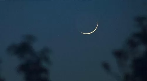 مدار الساعة,شؤون دينية,مفتي عام المملكة