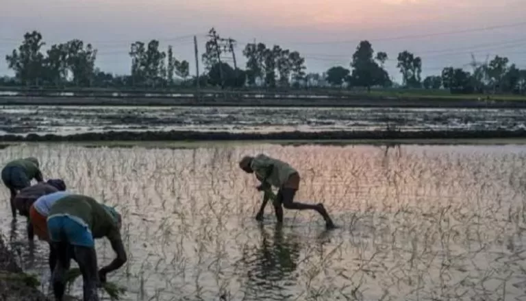 مدار الساعة,أخبار اقتصادية,الأمم المتحدة