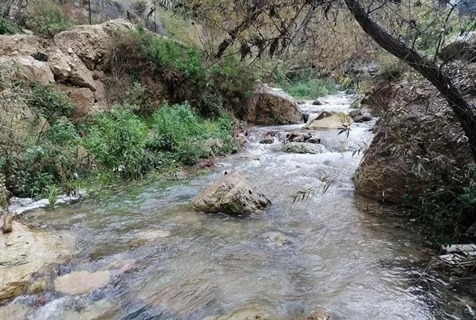 مدار الساعة,أخبار الأردن,اخبار الاردن,الحالة الجوية,وكالة الأنباء الأردنية,الأرصاد الجوية