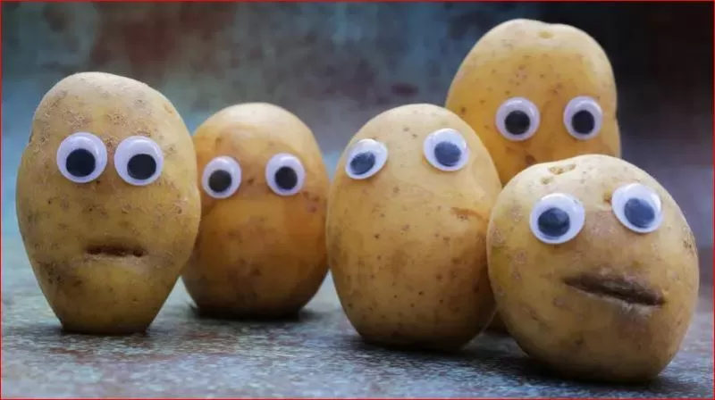 مدار الساعة,أخبار خفيفة ومنوعة