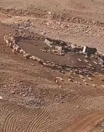 مدار الساعة,Video,فيديو,أخبار الأردن,اخبار الاردن,مواقع التواصل الاجتماعي