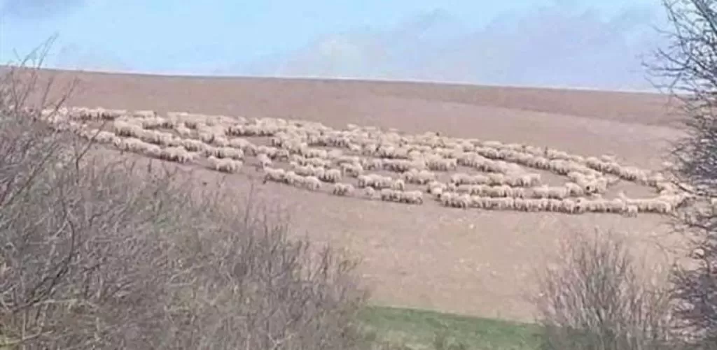 مدار الساعة,أخبار الأردن,اخبار الاردن
