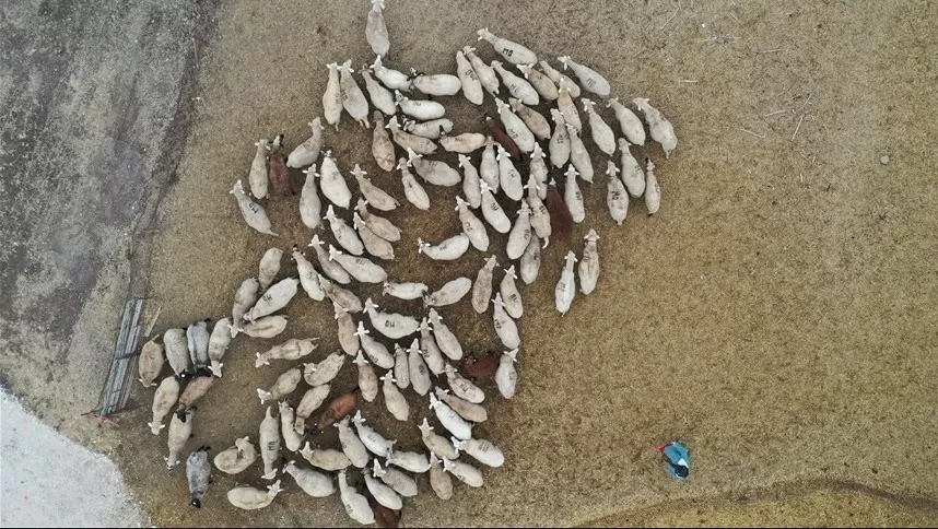 مدار الساعة,أخبار الأردن,اخبار الاردن,وزارة الزراعة,جامعة العلوم والتكنولوجيا,مواقع التواصل الاجتماعي