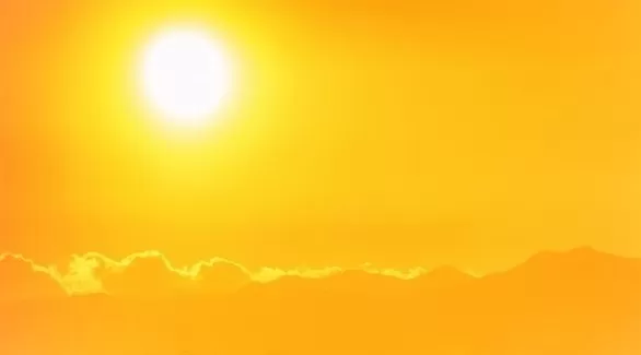 مدار الساعة,أخبار خفيفة ومنوعة