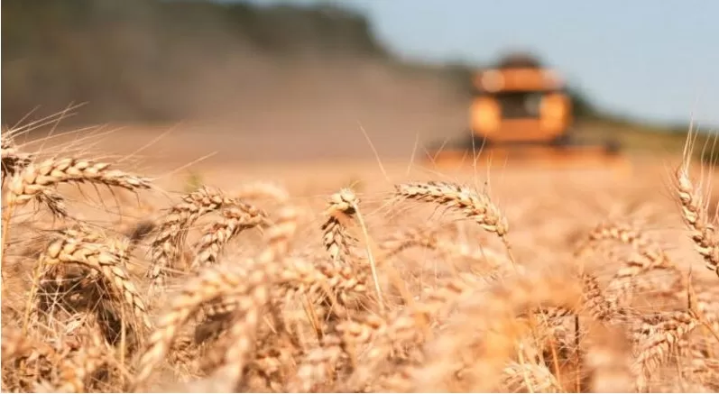 مدار الساعة,أخبار اقتصادية,وزارة الصناعة والتجارة,وزارة الصناعة