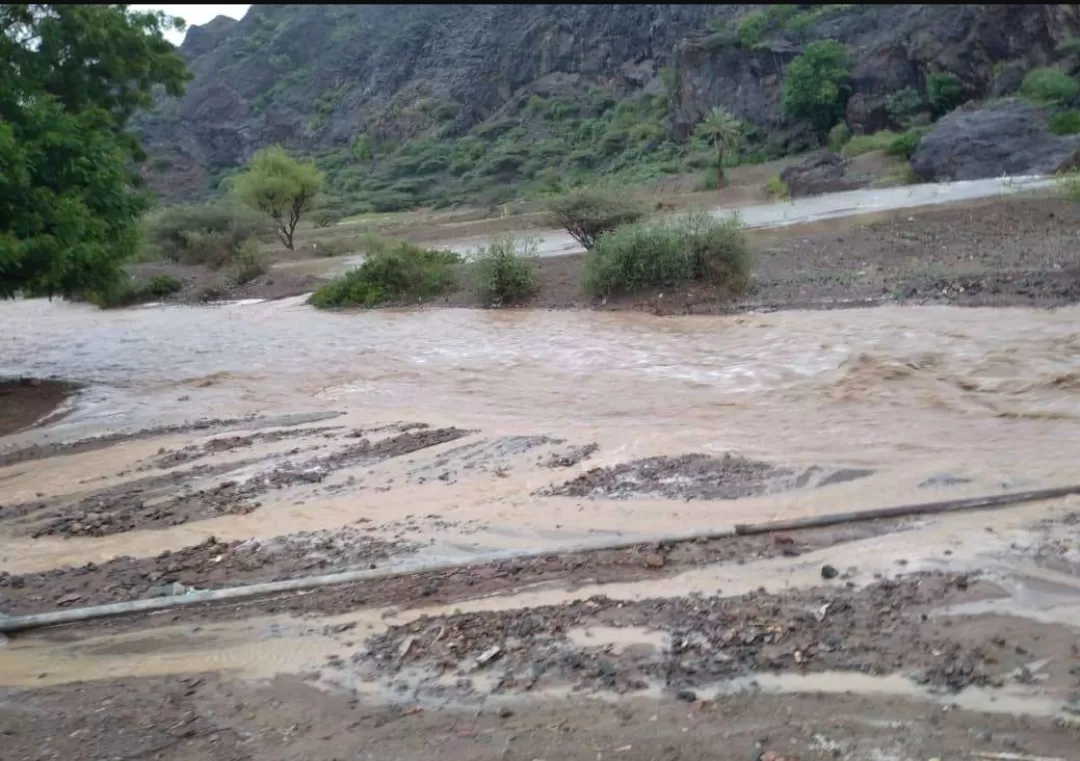 مدار الساعة,أخبار الأردن,اخبار الاردن,الحالة الجوية