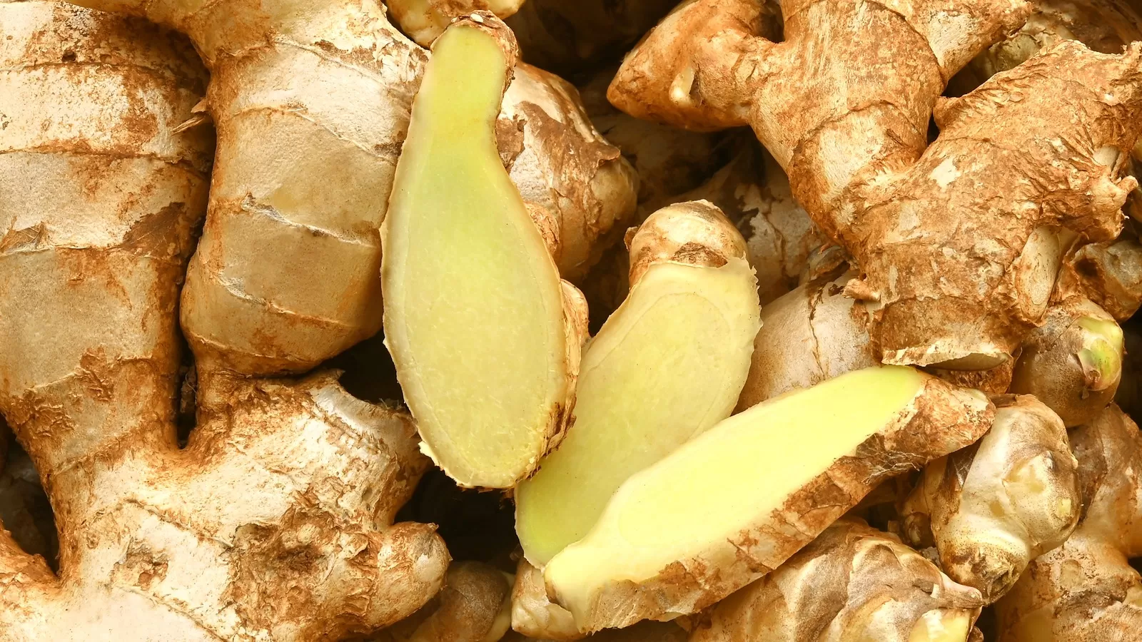 مدار الساعة,أخبار الأسرة