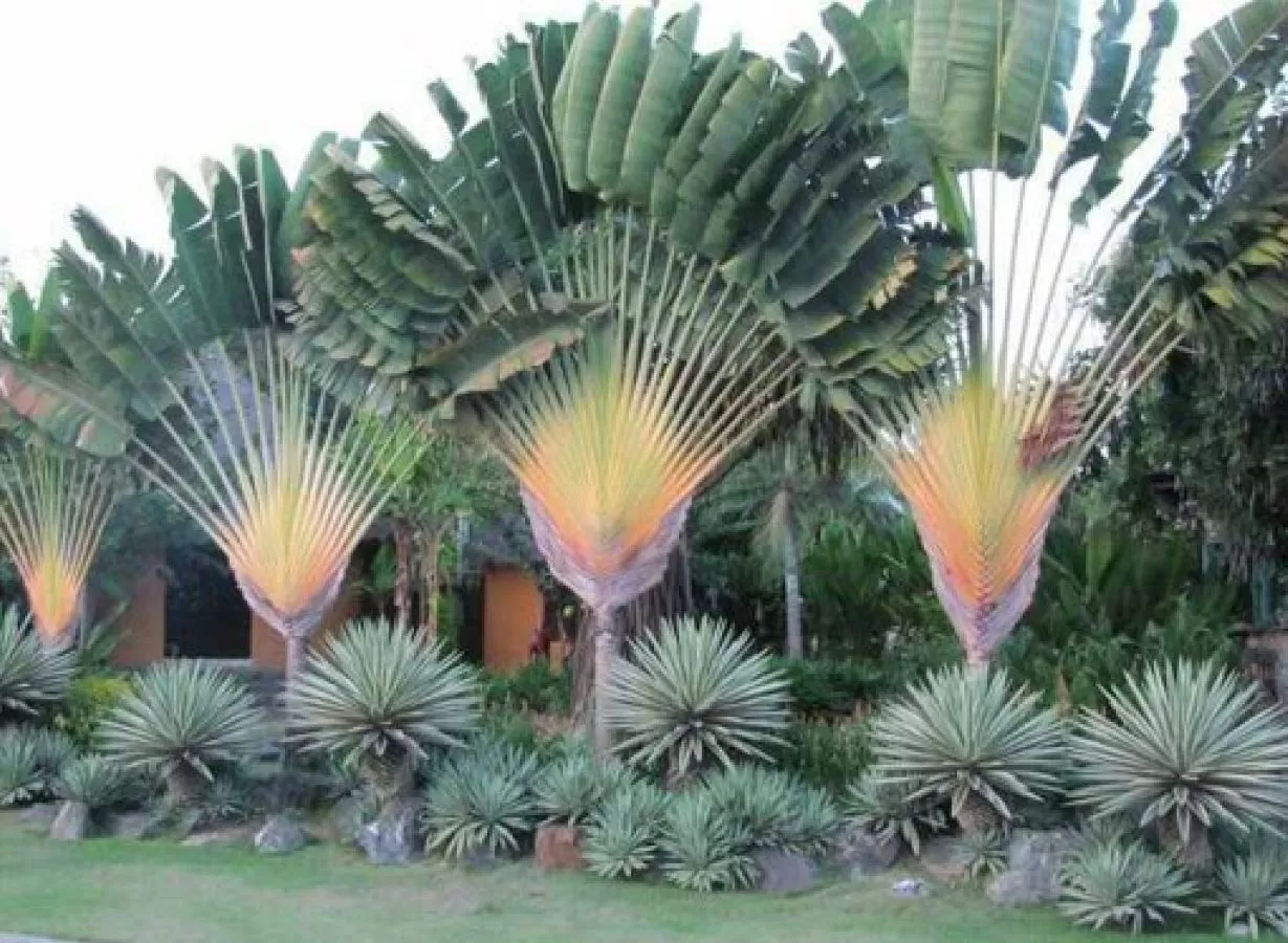 مدار الساعة,أخبار خفيفة ومنوعة