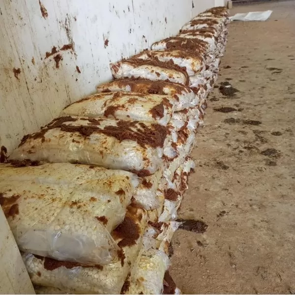 مدار الساعة,أخبار الأردن,اخبار الاردن,الجمارك الأردنية