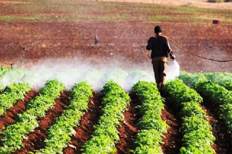 مدار الساعة,أخبار الأردن,اخبار الاردن,وكالة الأنباء الأردنية