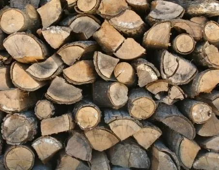 مدار الساعة,أخبار الأردن,اخبار الاردن,وزارة الزراعة