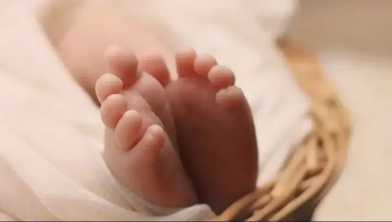 مدار الساعة,أخبار خفيفة ومنوعة,البحث الجنائي