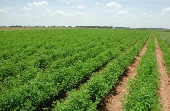 مدار الساعة,أخبار الأردن,اخبار الاردن