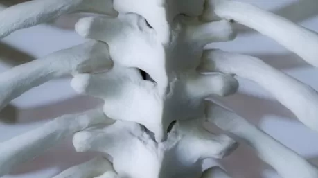 مدار الساعة,أخبار خفيفة ومنوعة