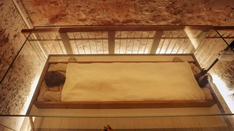 مدار الساعة,أخبار عربية ودولية,النيابة العامة