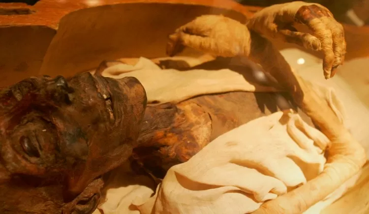 مدار الساعة,أخبار عربية ودولية