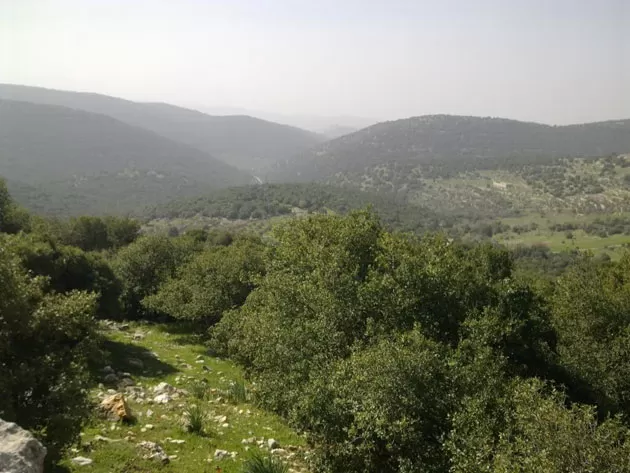 مدار الساعة,أخبار الأردن,اخبار الاردن,وزارة الزراعة,وزارة البيئة